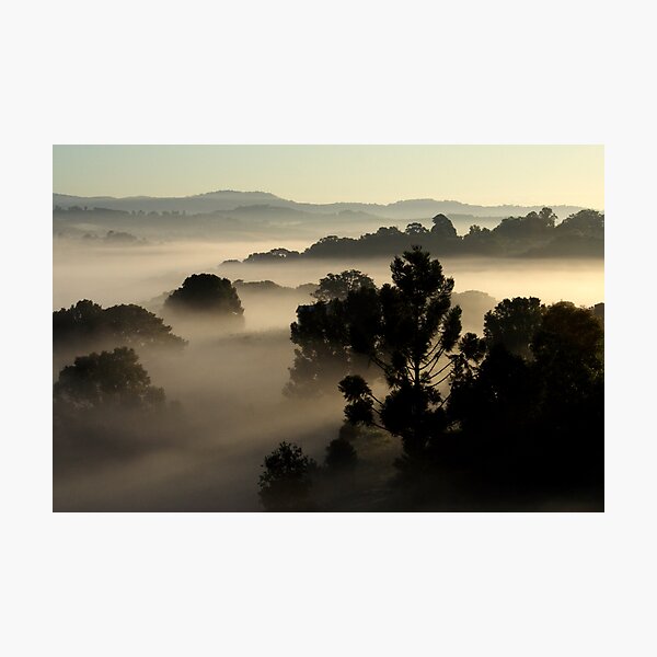 Photographic Print