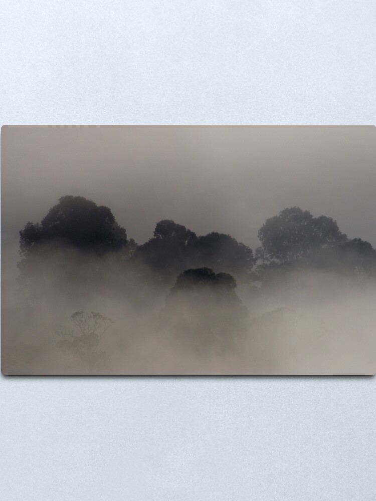 Alternate view of Trees in the Mist Metal Print