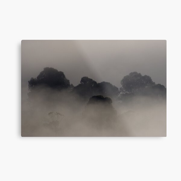 Trees in the Mist Metal Print