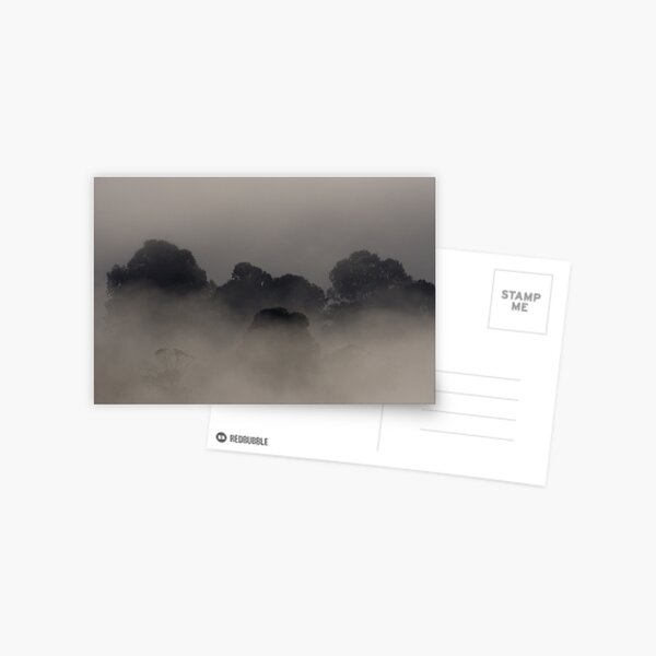 Trees in the Mist Postcard