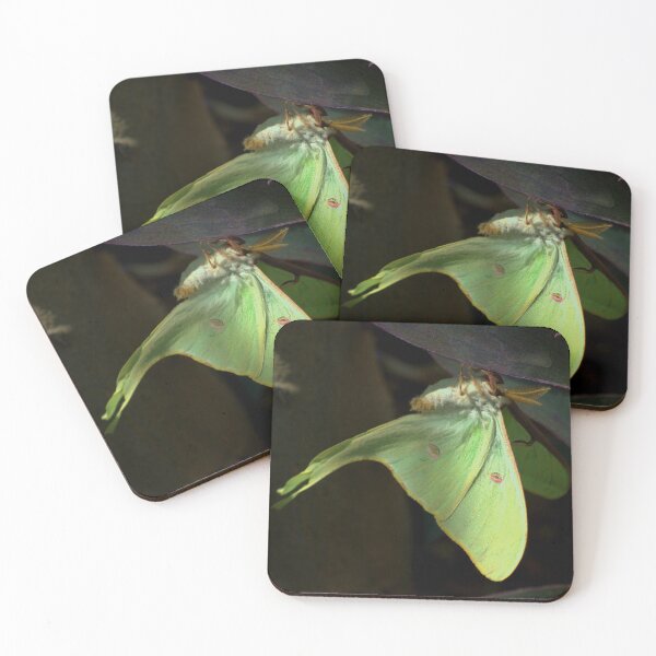 Item preview, " The Lunar Moth " designed and sold by K D Graves Photography.