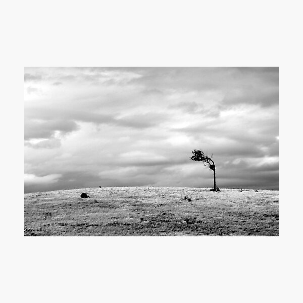 Photographic Print