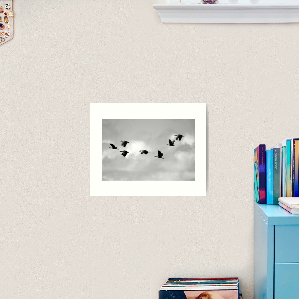 Flight Seven Art Print