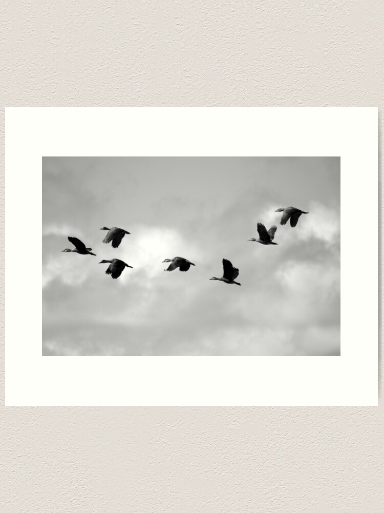 Alternate view of Flight Seven Art Print