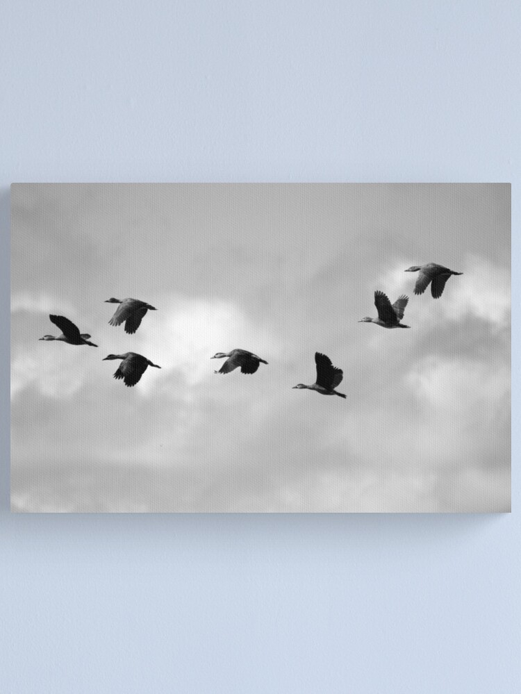 Thumbnail 2 of 3, Canvas Print, Flight Seven designed and sold by theoddshot.