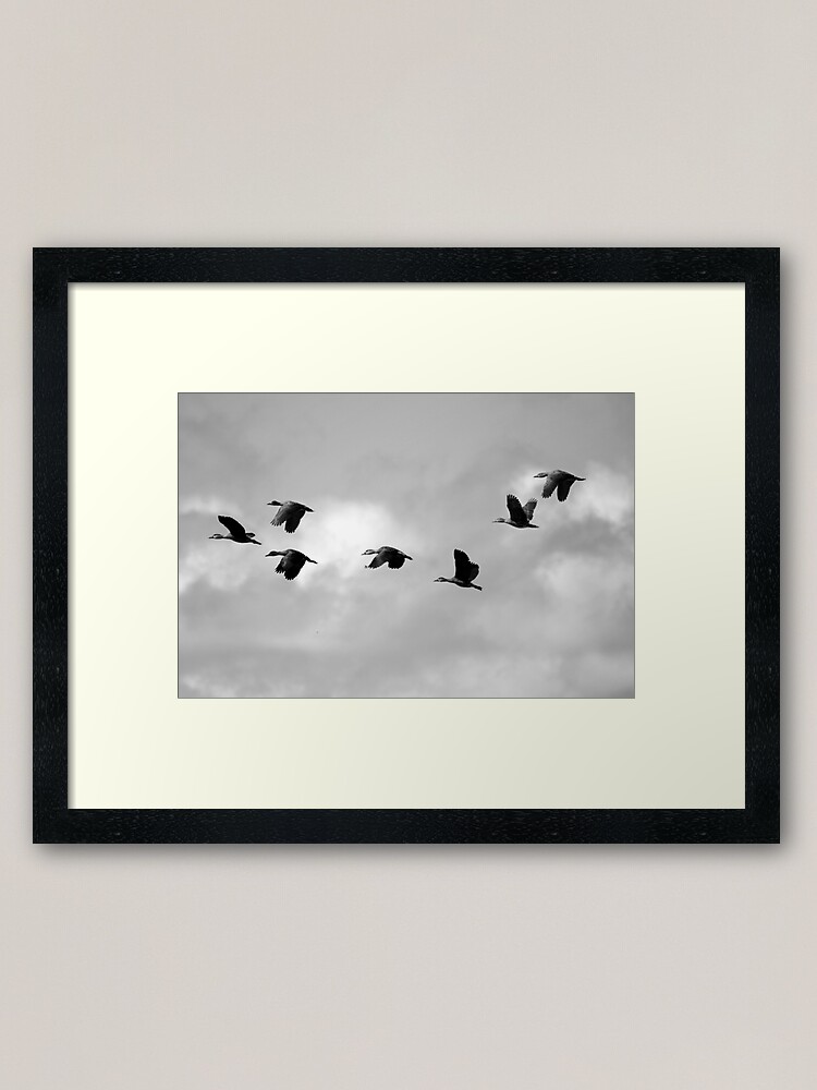 Alternate view of Flight Seven Framed Art Print