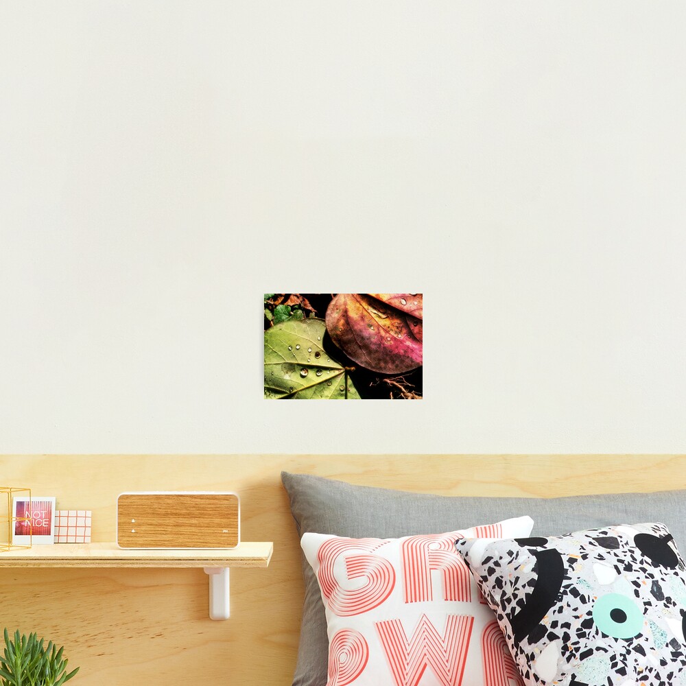 Item preview, Photographic Print designed and sold by MsTique.