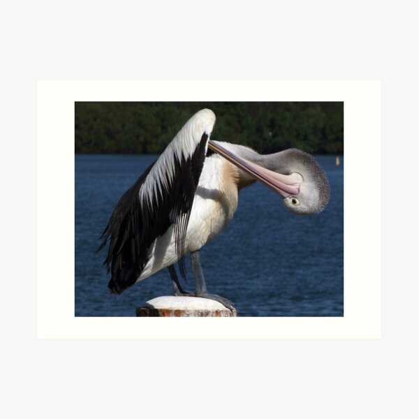 Art Print