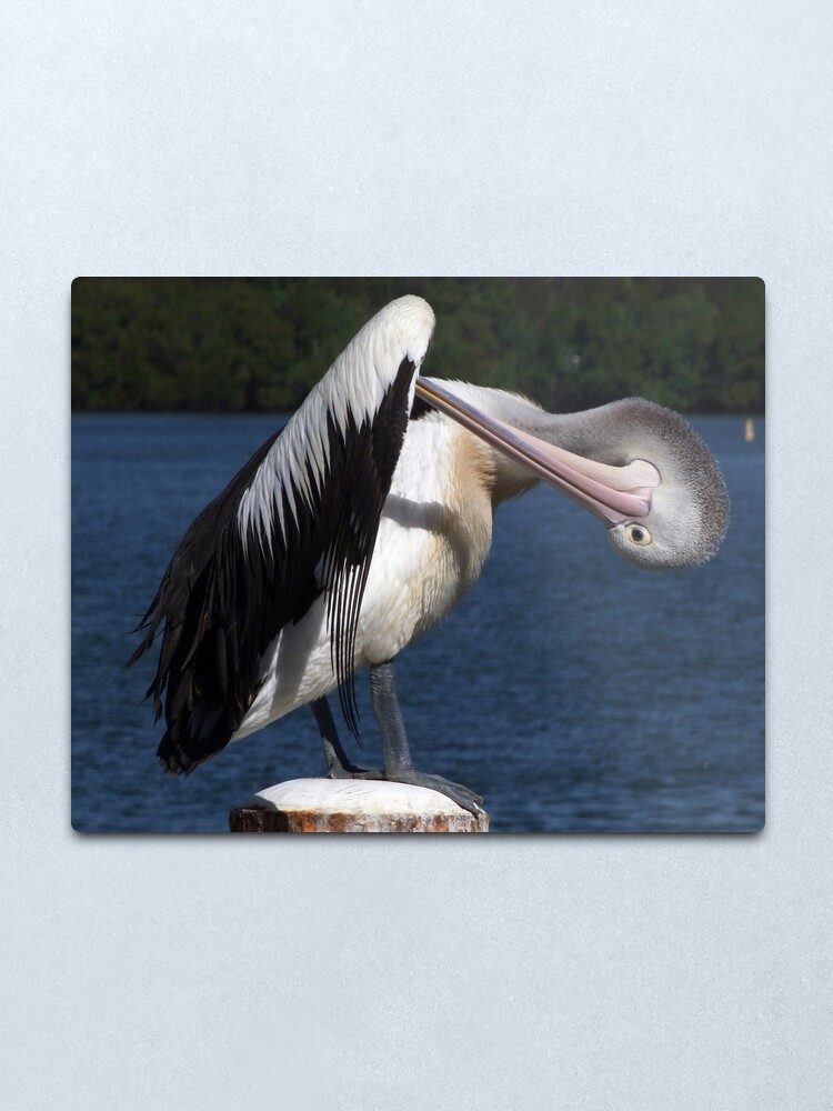 Alternate view of I know it's there somewhere.... Metal Print