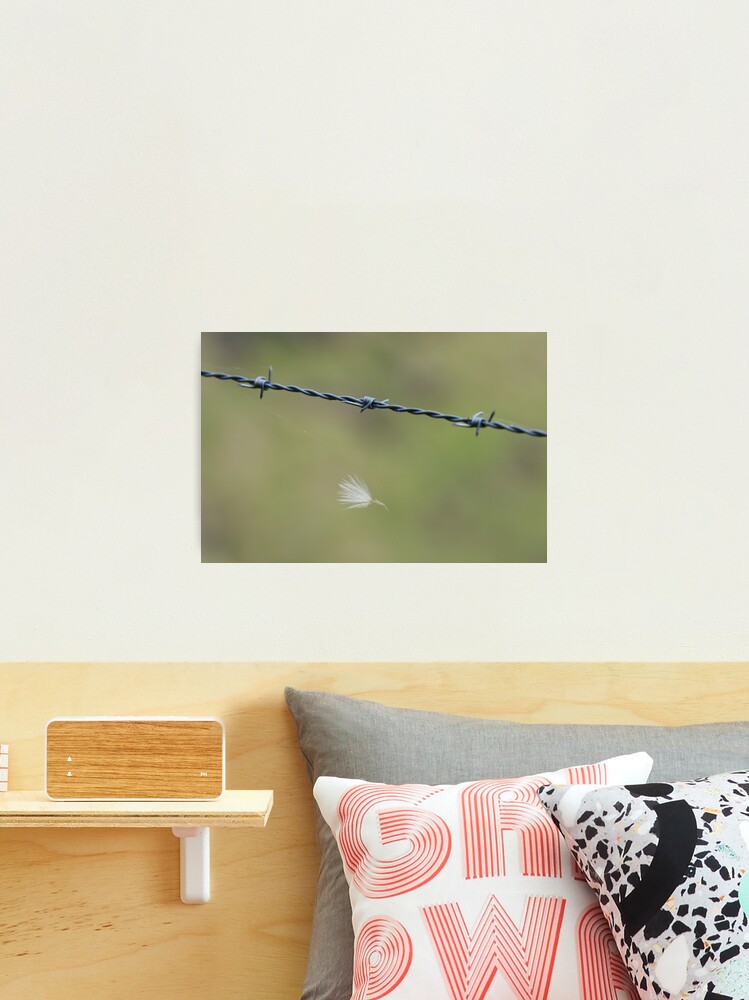 Thumbnail 1 of 3, Photographic Print, Caught designed and sold by theoddshot.
