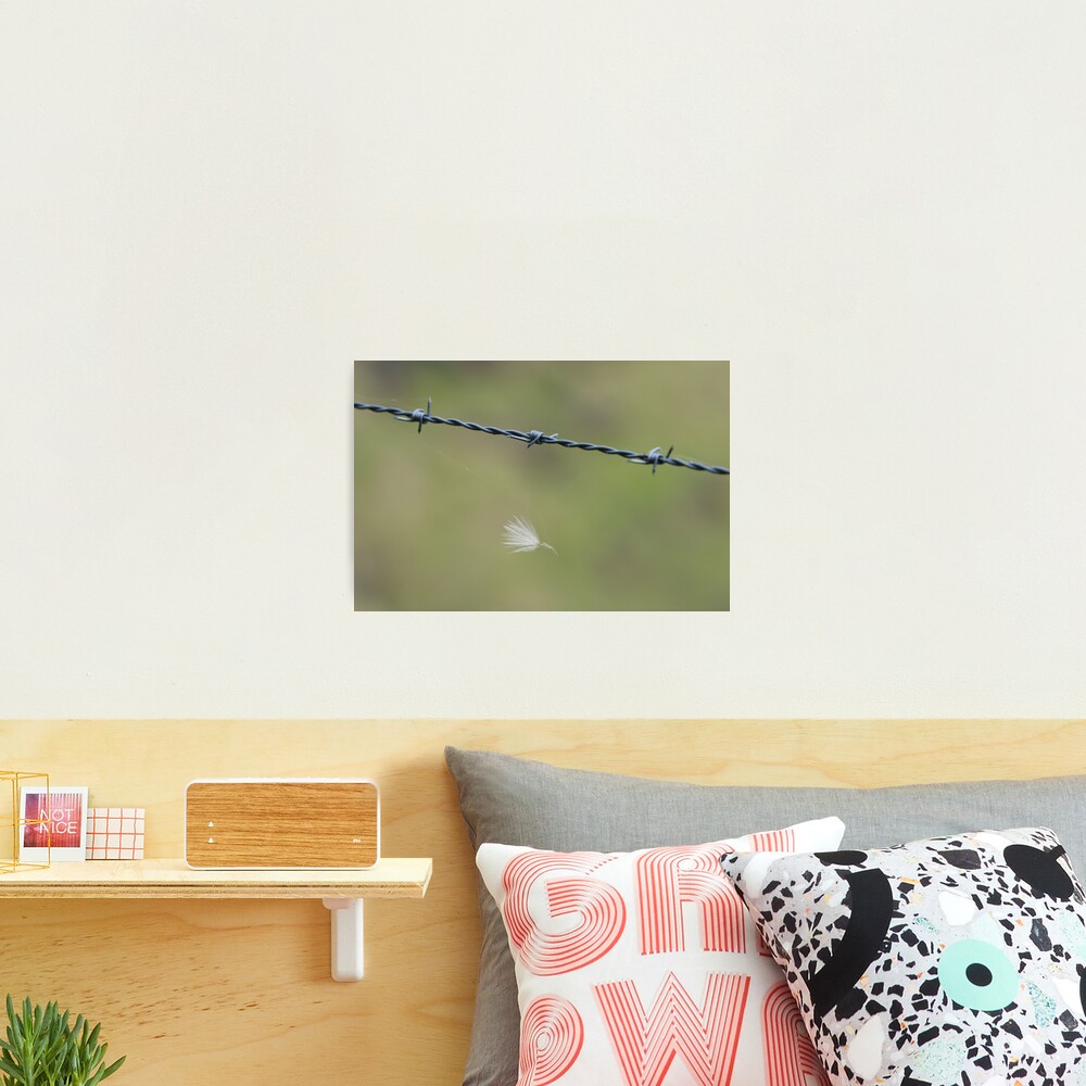 Caught Photographic Print