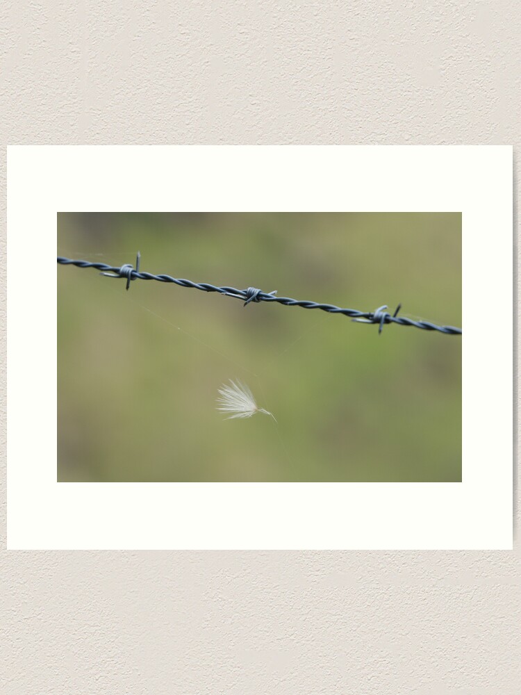 Thumbnail 1 of 3, Art Print, Caught designed and sold by theoddshot.