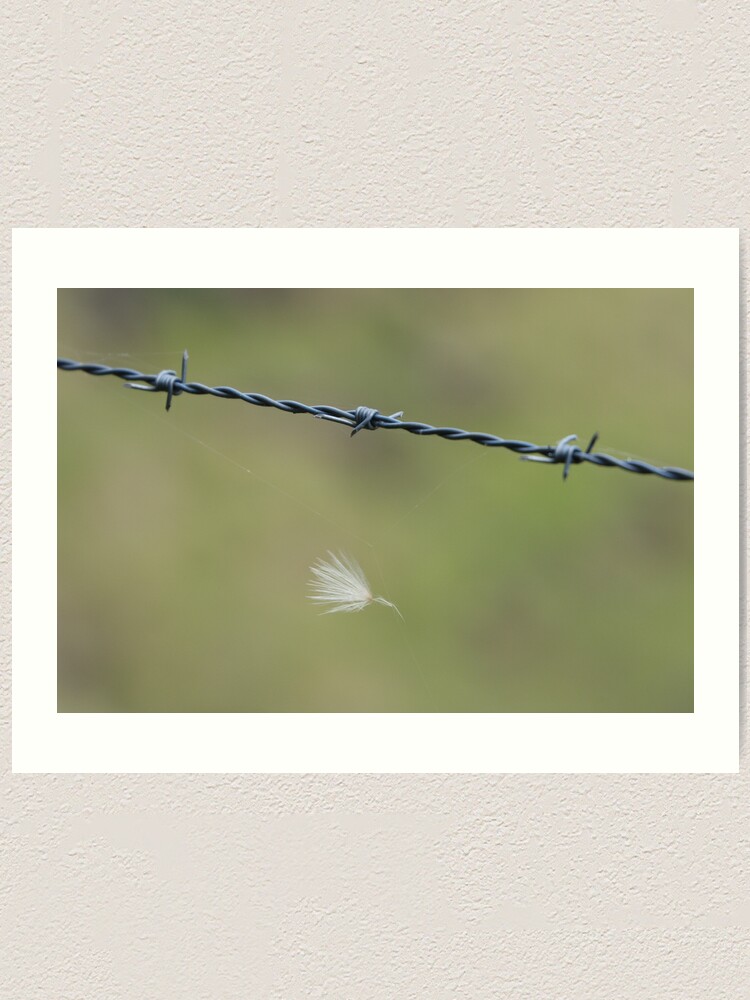 Alternate view of Caught Art Print