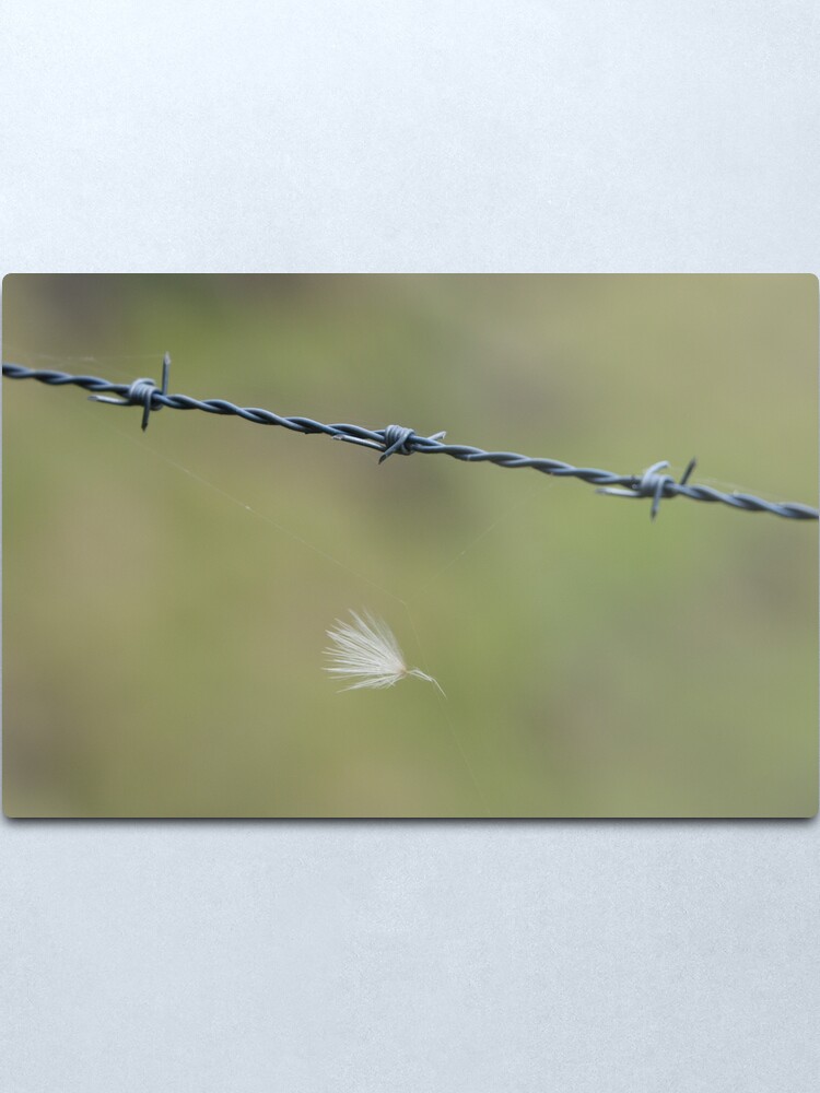 Alternate view of Caught Metal Print