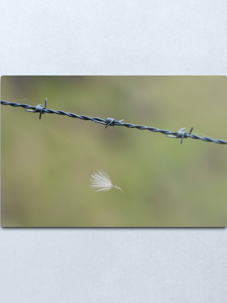 Alternate view of Caught Metal Print