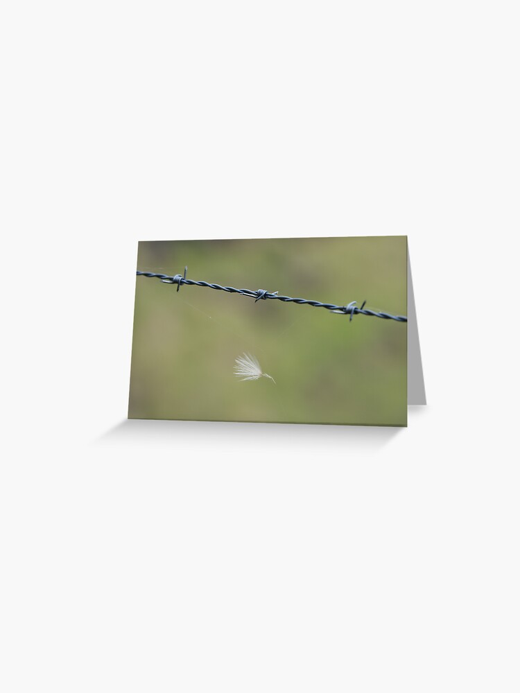 Thumbnail 1 of 2, Greeting Card, Caught designed and sold by theoddshot.
