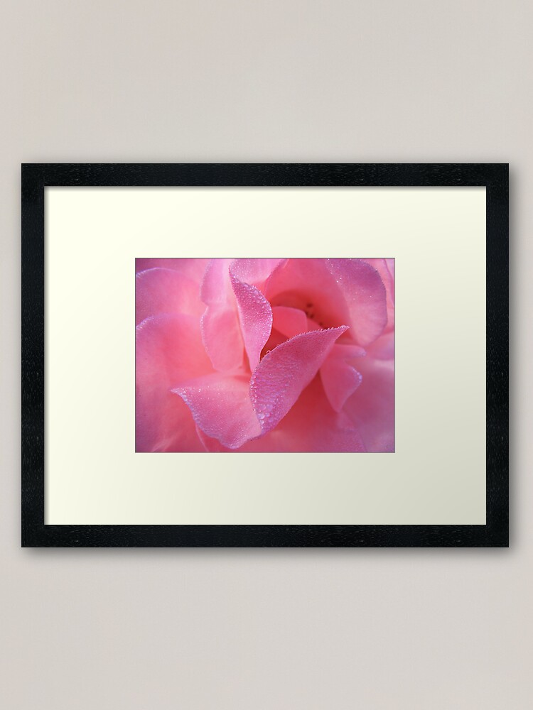 Thumbnail 1 of 7, Framed Art Print, Rose designed and sold by theoddshot.