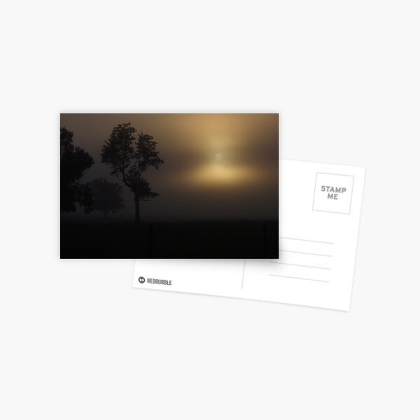 Foggy Sunrise Postcard
