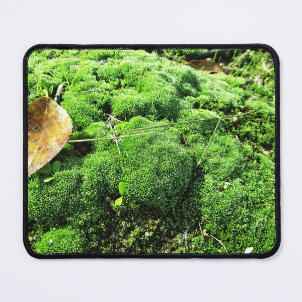 Item preview, Green moss photography | moss close up photography designed and sold by lausn.