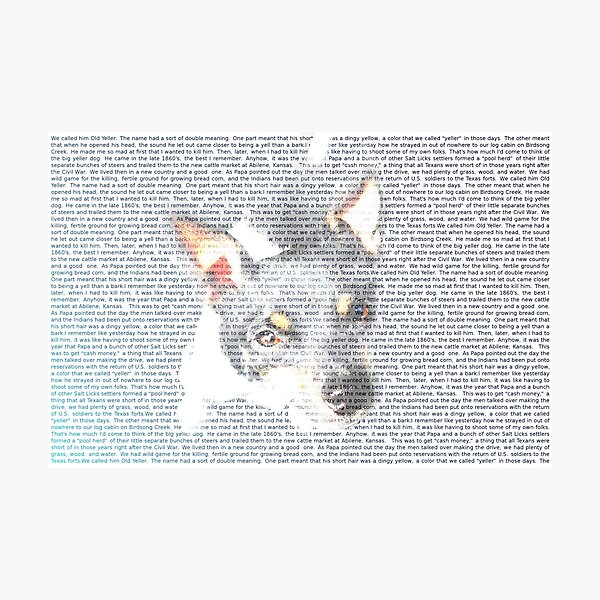 For the Love of a Rat Terrier Photographic Print