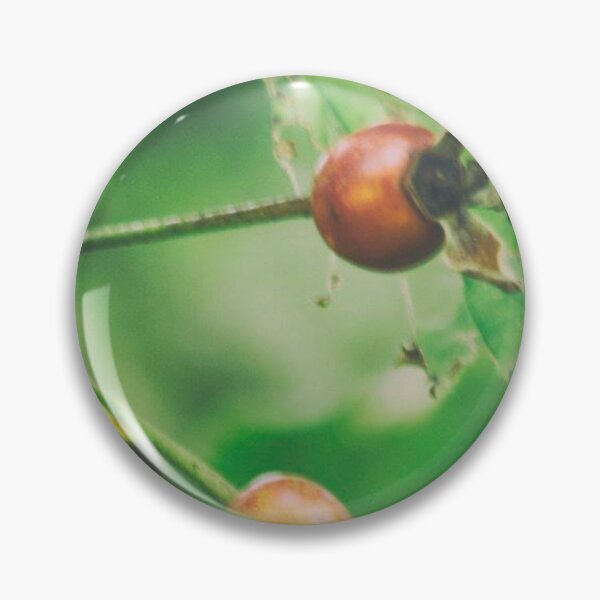 Item preview, Rose hip designed and sold by Francespoppy.