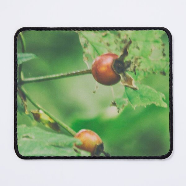 Item preview, Rose hip designed and sold by Francespoppy.