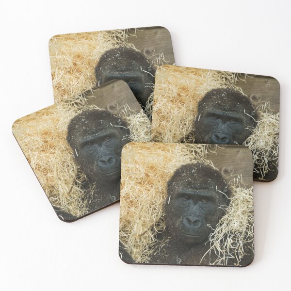 Item preview, Gorilla And His Wood Wool designed and sold by rawshutterbug.