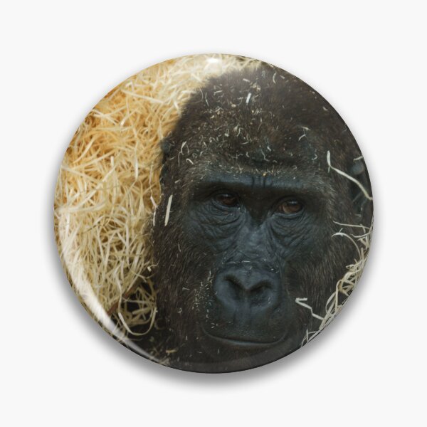 Item preview, Gorilla And His Wood Wool designed and sold by rawshutterbug.