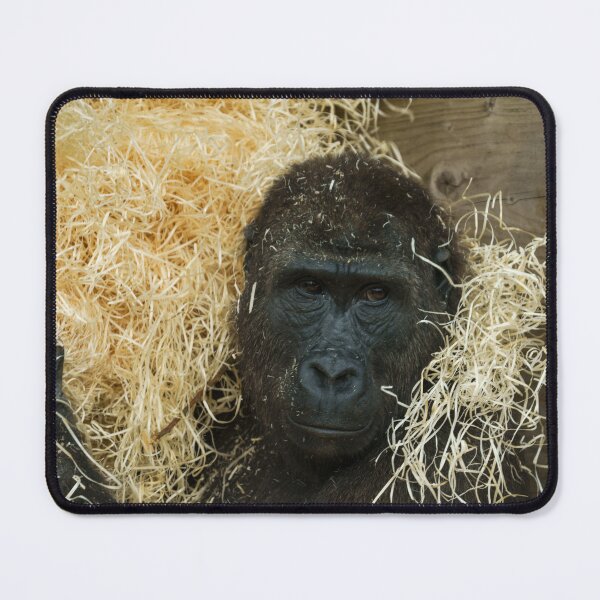 Item preview, Gorilla And His Wood Wool designed and sold by rawshutterbug.