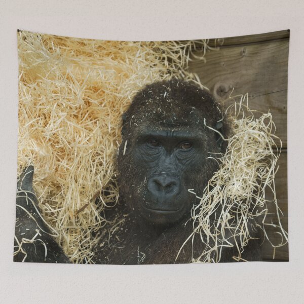 Item preview, Gorilla And His Wood Wool designed and sold by rawshutterbug.