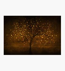 Golden times Photographic Print