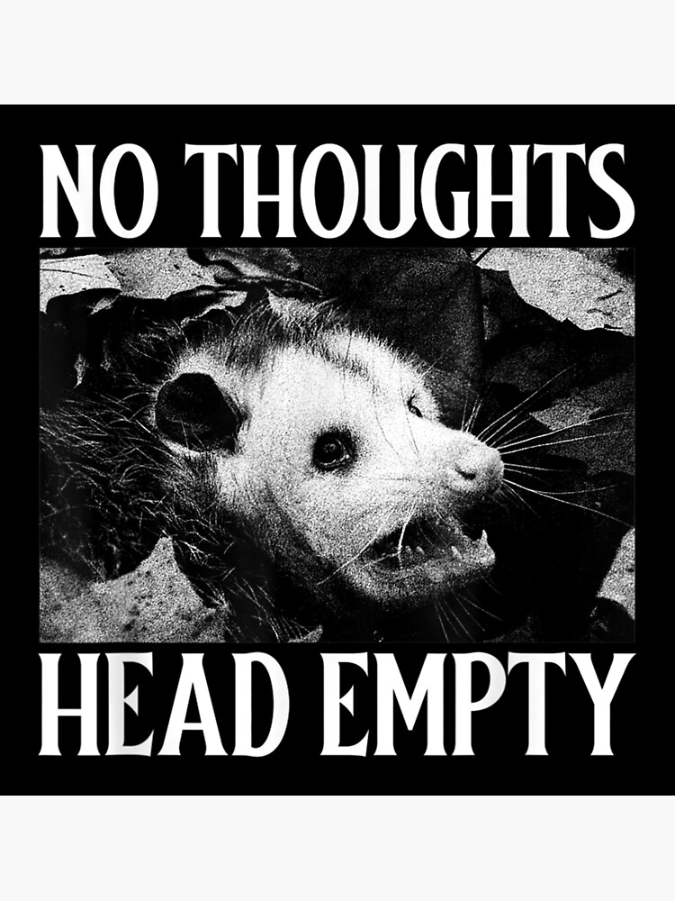 "No Thoughts Head Empty Funny Possum Lover Meme" Poster for Sale by drahunter2d46 Redbubble
