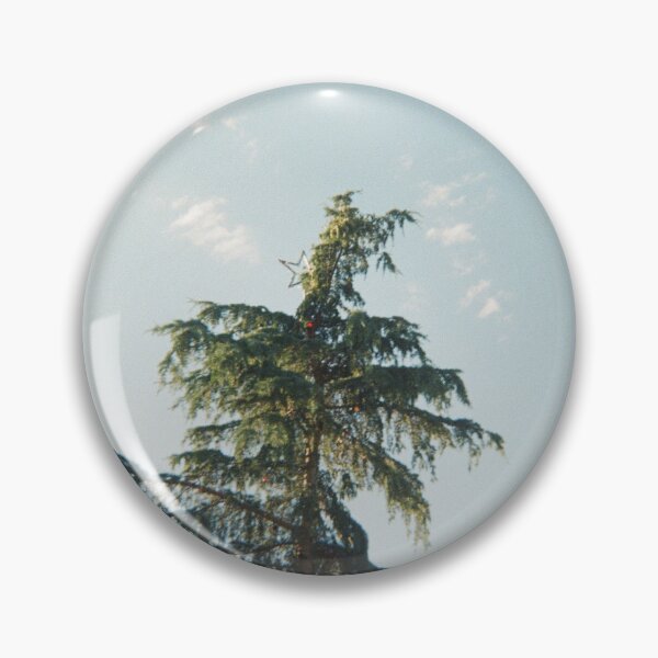 Item preview, Allora Christmas on 35mm film designed and sold by Dominique Tassell.