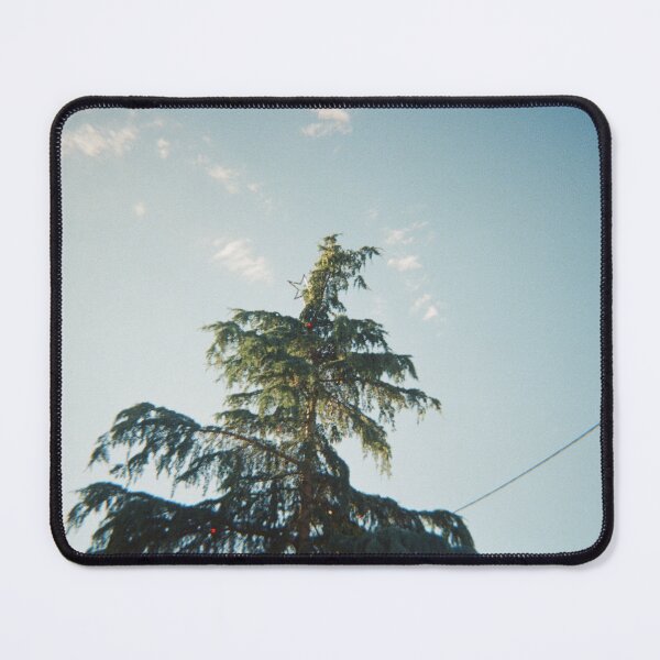 Item preview, Allora Christmas on 35mm film designed and sold by Dominique Tassell.