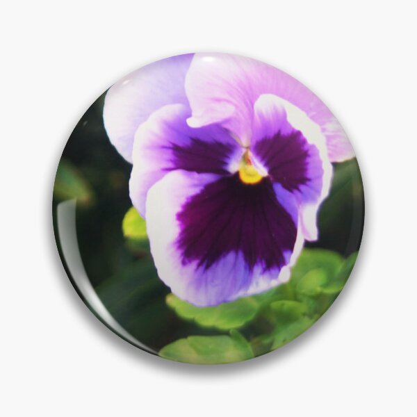 Item preview, Purple Yellow pansy designed and sold by Francespoppy.
