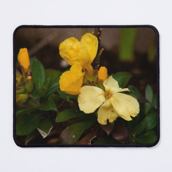 Item preview, yellow flowers designed and sold by Francespoppy.