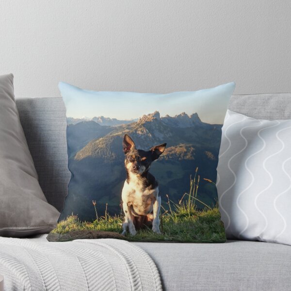 Item preview, Terrier conquista los Alpes designed and sold by TwoSmallPtatoes.