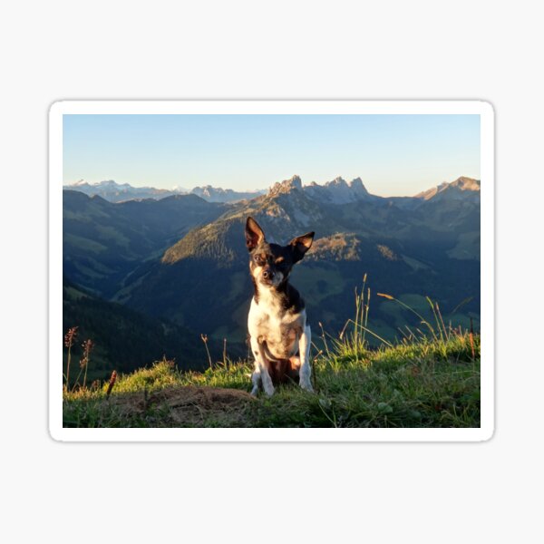 Terrier Conquers the Alps Sticker