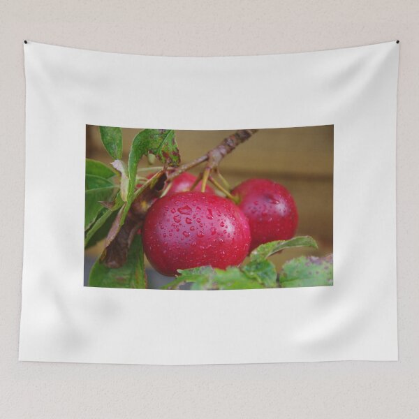 Item preview, September Apples In The Rain designed and sold by lezvee.