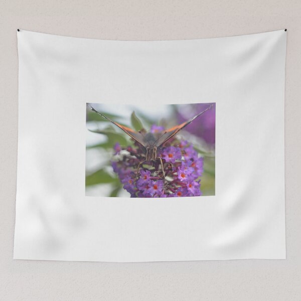 Item preview, Red Admiral designed and sold by Kasia Nowak.
