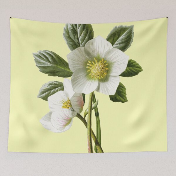 Item preview, hellebore designed and sold by iamdesigns14.