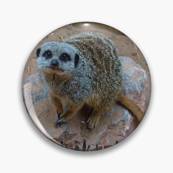 Item preview, Meerkat designed and sold by Nicole Gath.