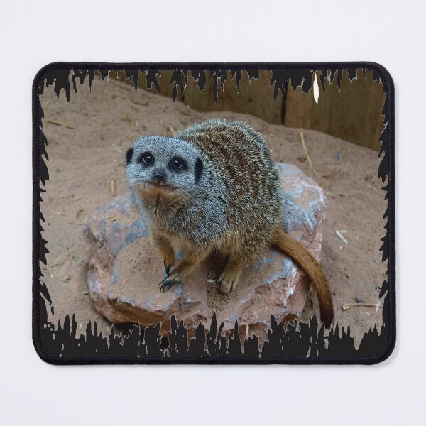 Item preview, Meerkat designed and sold by Nicole Gath.