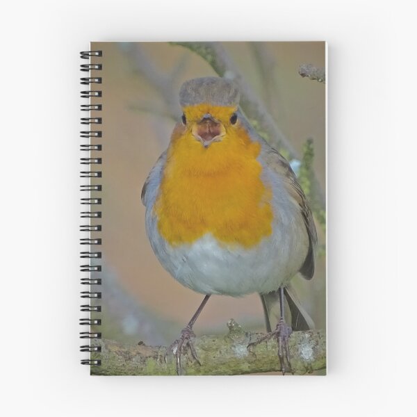 Item preview, ROBIN GOCH! designed and sold by NICK COBURN PHILLIPS.