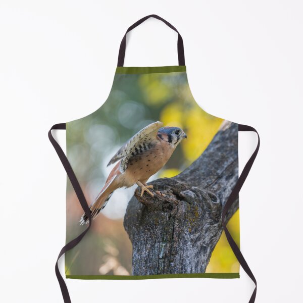 Item preview, Autumn Kestrel designed and sold by Greg Birkett.
