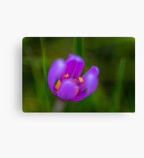 Flower macro Canvas Print
