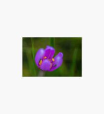 Flower macro Art Board