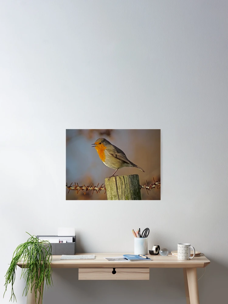 Thumbnail 2 of 3, Poster, RUSTY ROBIN designed and sold by NICK COBURN PHILLIPS.