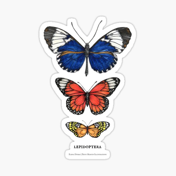 Item preview, Texte de machine à écrire vintage papillon lépidoptères designed and sold by PetitMartin.