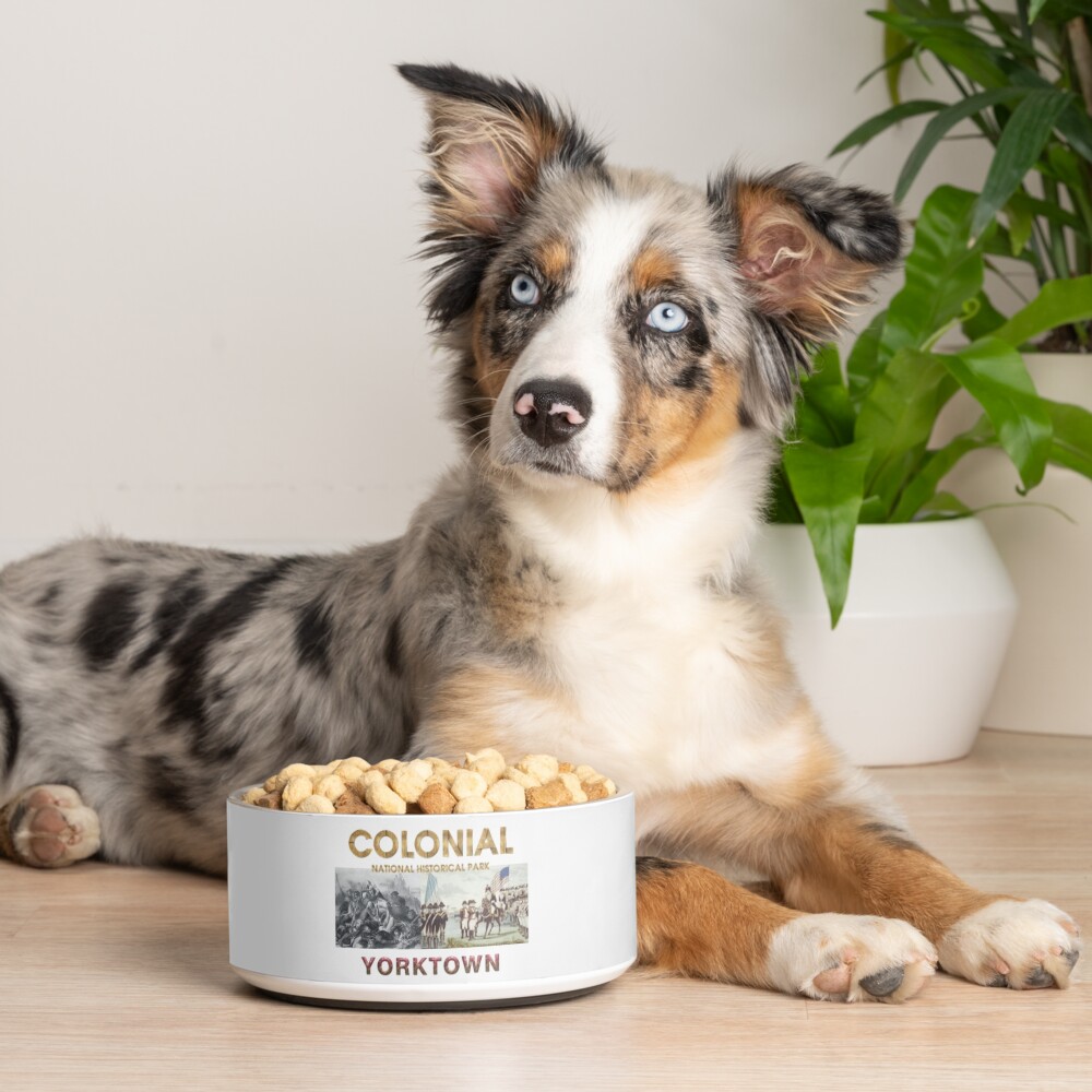 Item preview, Pet Bowl designed and sold by teepossible.